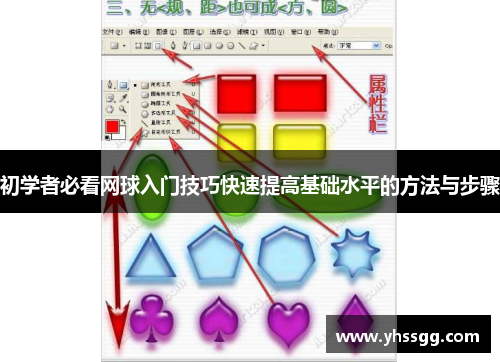 初学者必看网球入门技巧快速提高基础水平的方法与步骤